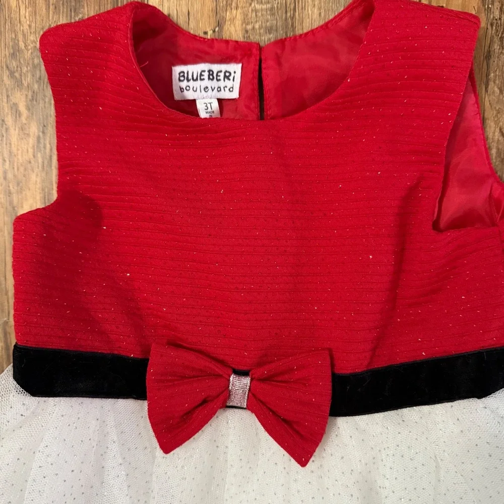 NWT Blueberi Boulevard Dress and Coat Set Toddler Girls 3T Fur Holiday Christmas